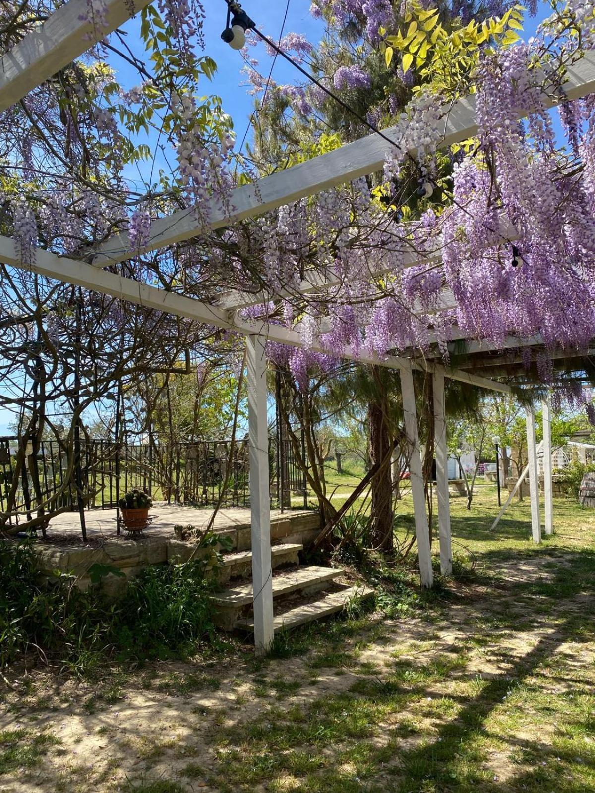 Agriturismo Tenuta La Monaca Aradeo Exteriér fotografie